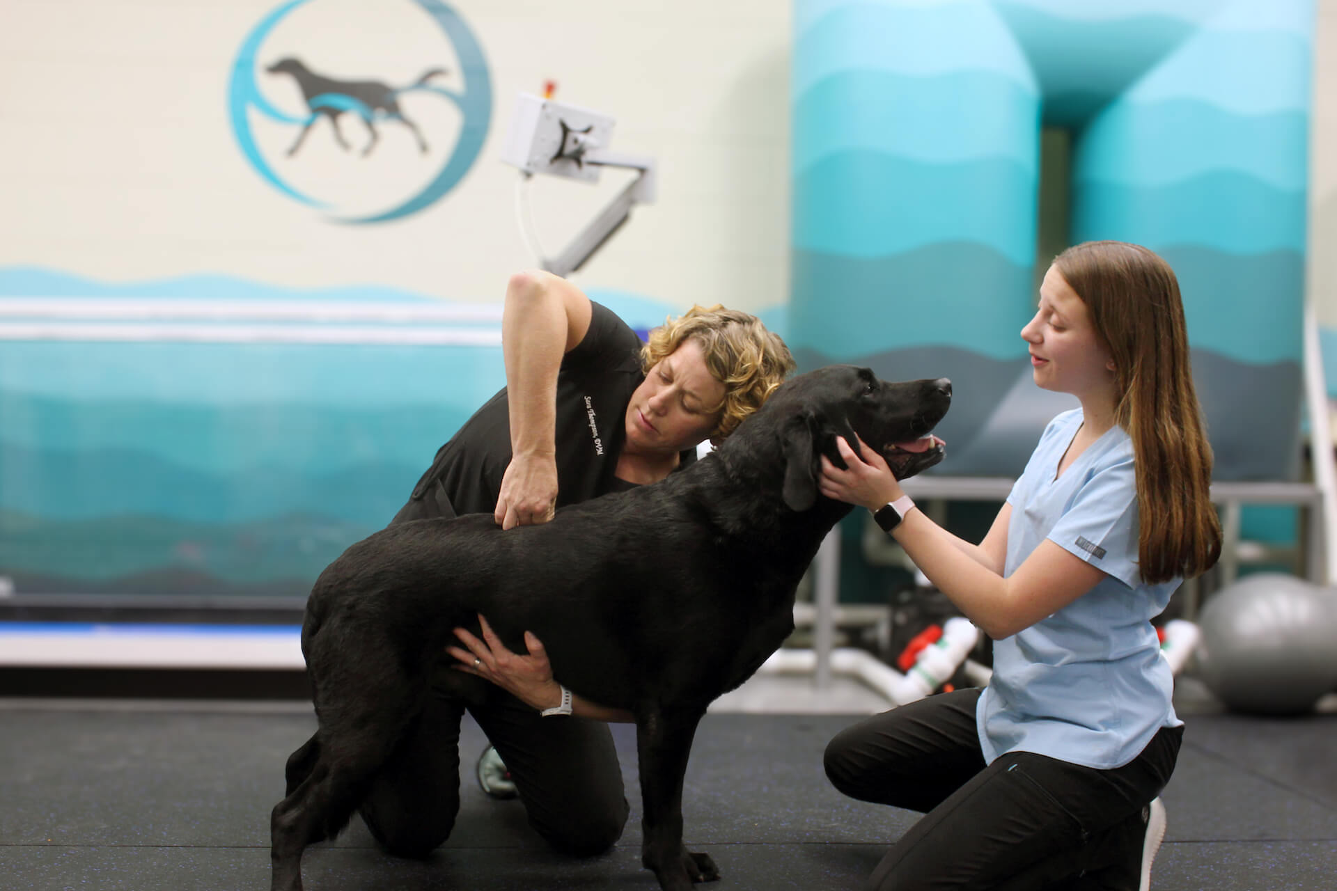 Art of healing In Mukwonago, WI slider image