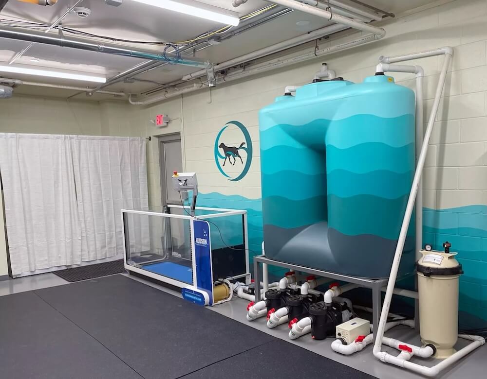 picture of the same the water treadmill is in