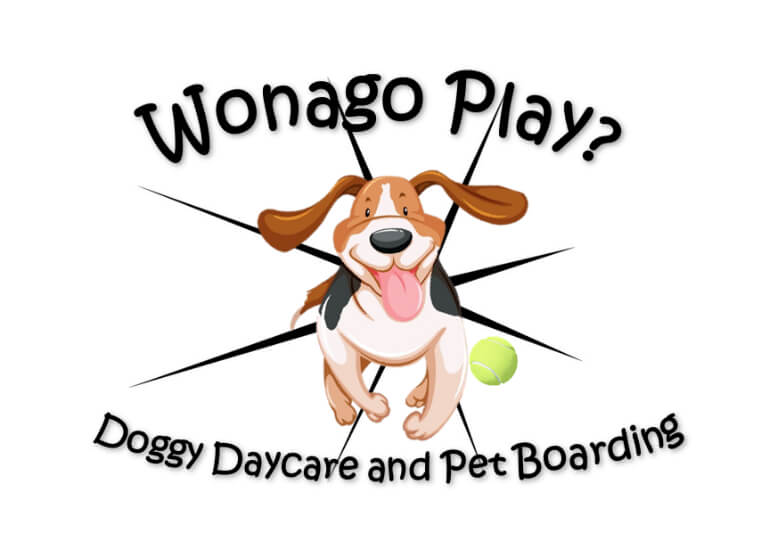 Wonago play logo