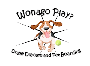 Wonago play