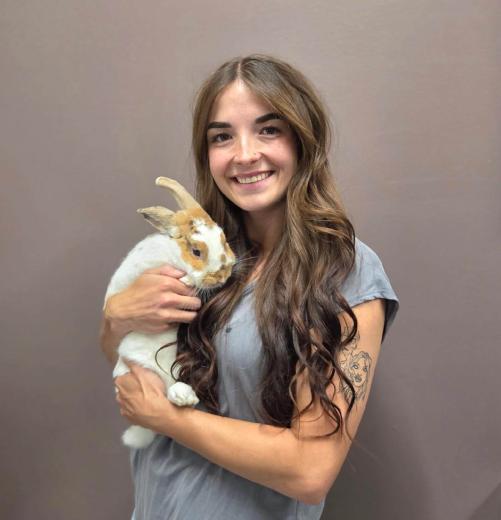 Bailee